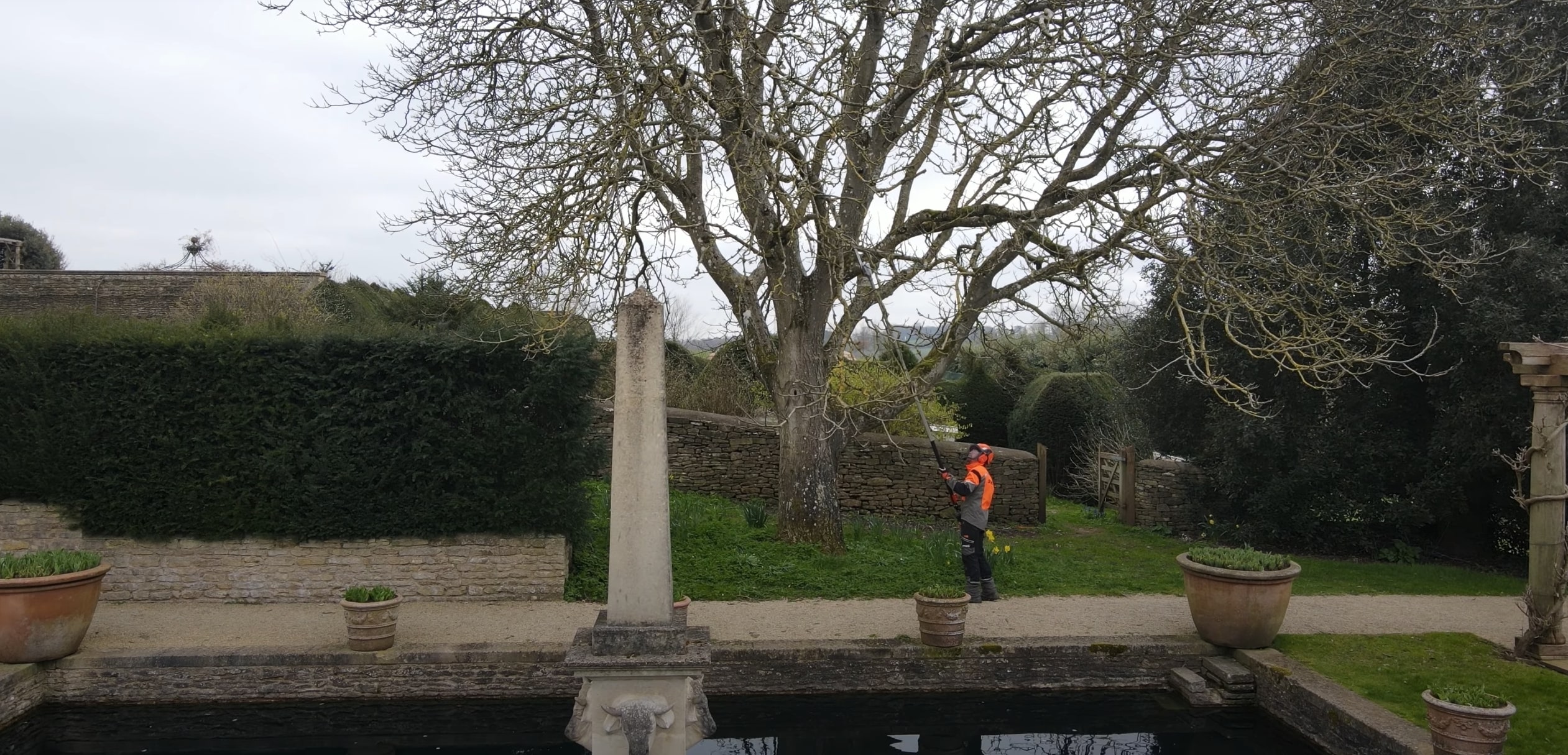 Tree Health & Maintenance service in Wildomar, CA